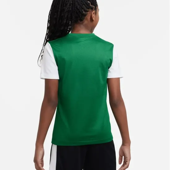 Футболка Nike Dri-FIT Tiempo Premier II DH8389-302
