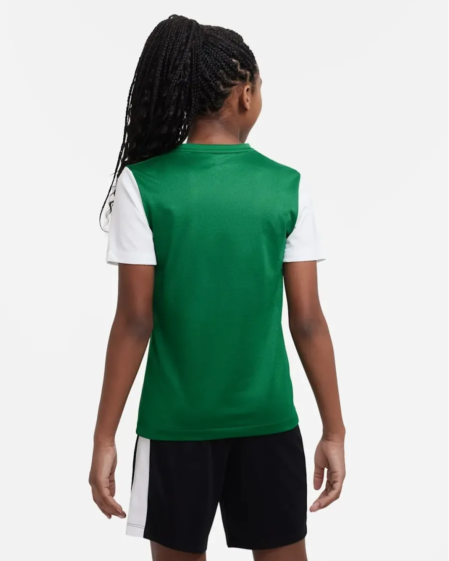 Футболка Nike Dri-FIT Tiempo Premier II DH8389-302