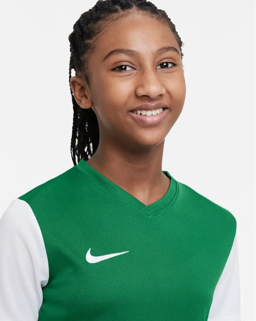 Футболка Nike Dri-FIT Tiempo Premier II DH8389-302
