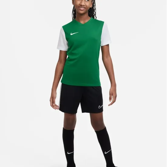 Футболка Nike Dri-FIT Tiempo Premier II DH8389-302