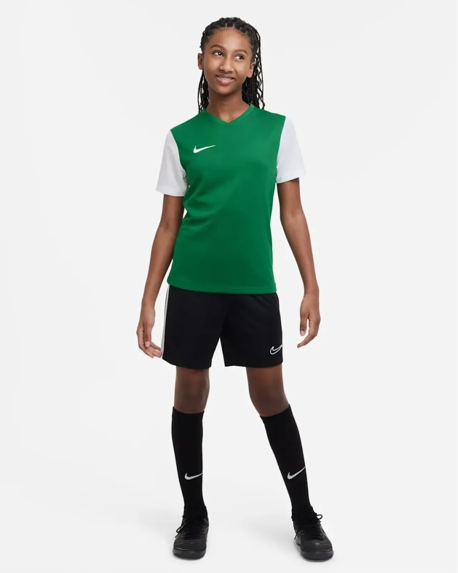 Футболка Nike Dri-FIT Tiempo Premier II DH8389-302