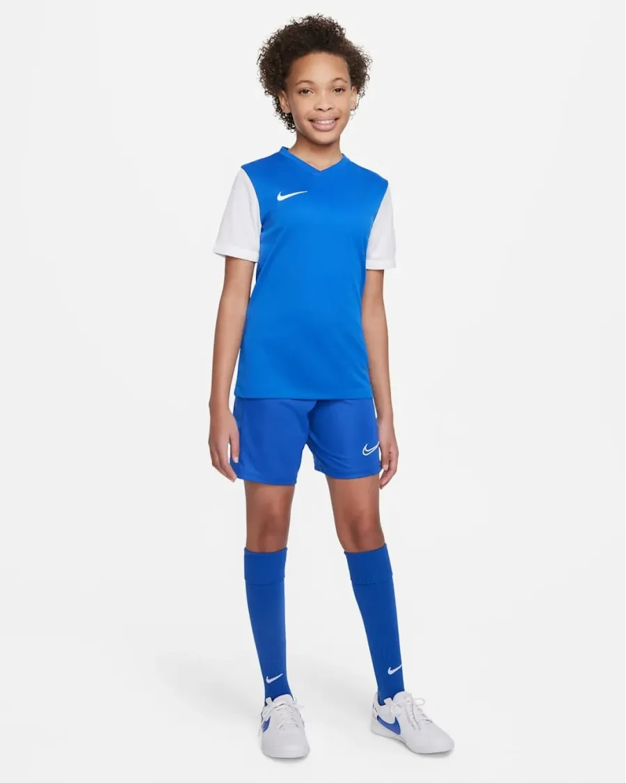 Футболка Nike Dri-FIT Tiempo Premier II DH8389-463