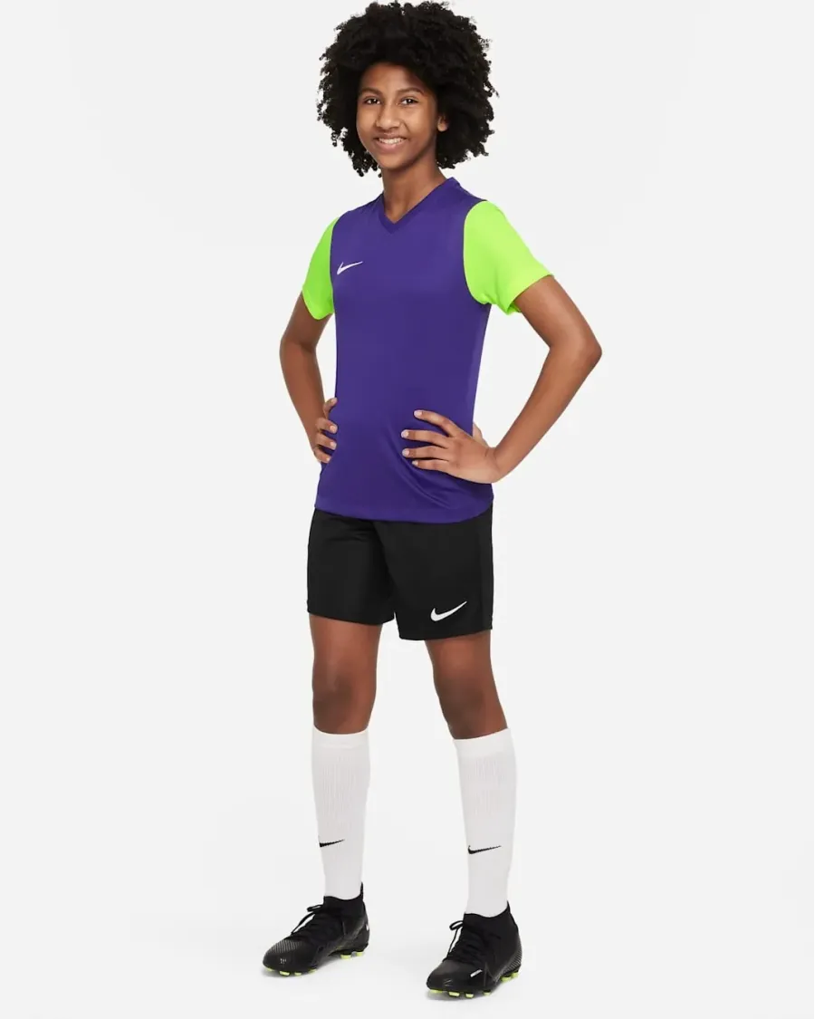 Футболка Nike Dri-FIT Tiempo Premier II DH8389-547