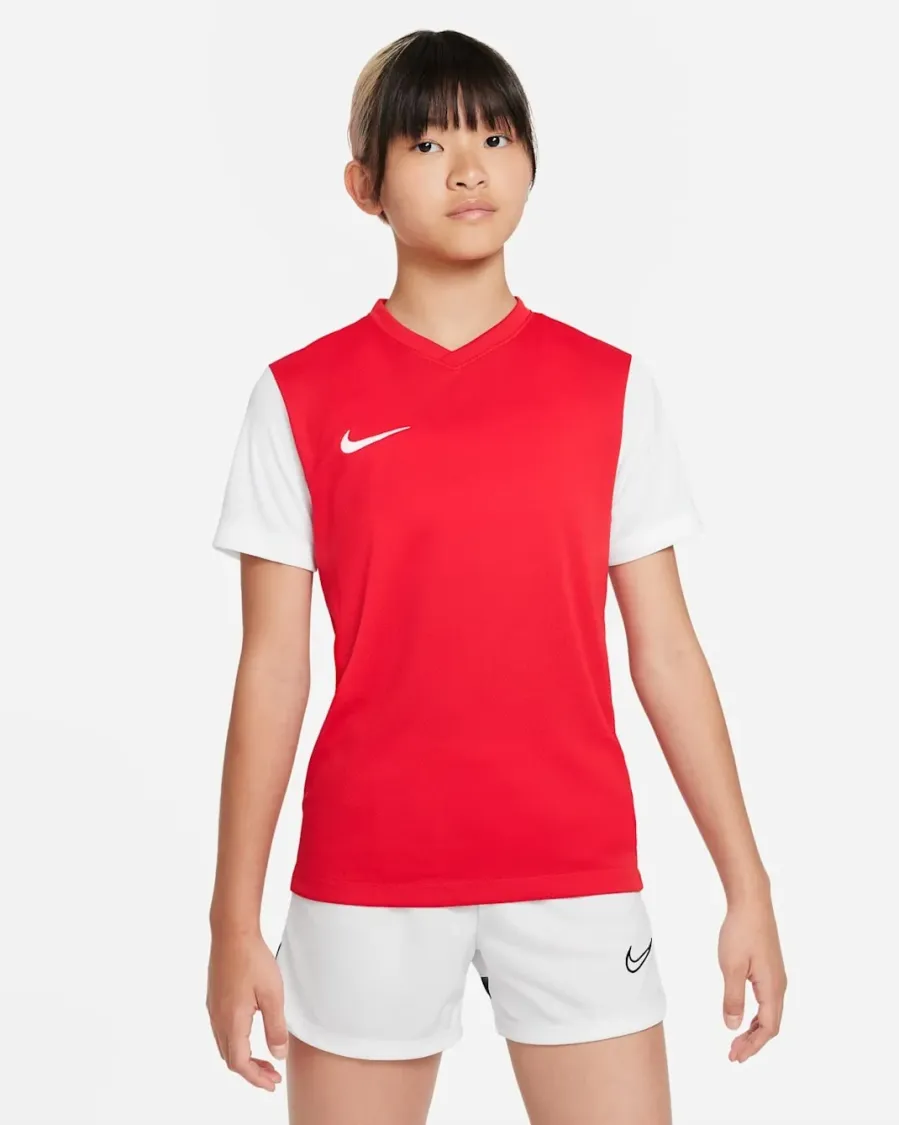 Футболка Nike Dri-FIT Tiempo Premier II DH8389-657