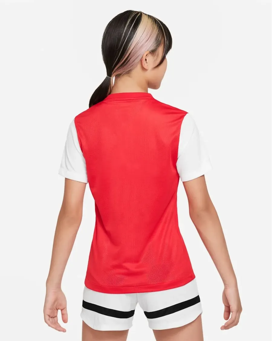 Футболка Nike Dri-FIT Tiempo Premier II DH8389-657