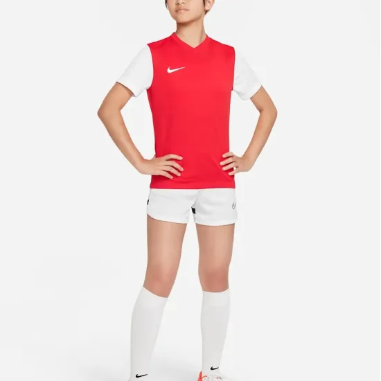 Футболка Nike Dri-FIT Tiempo Premier II DH8389-657