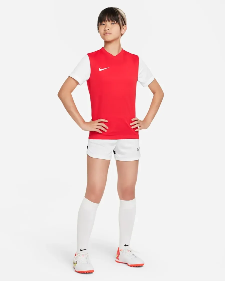 Футболка Nike Dri-FIT Tiempo Premier II DH8389-657