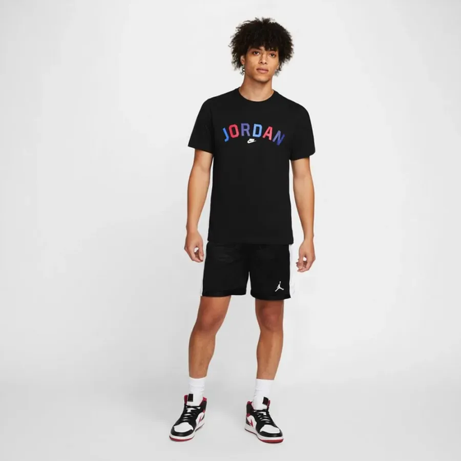 Шорти Nike Air Jordan Dri-FIT Sport Mesh DH9077-010