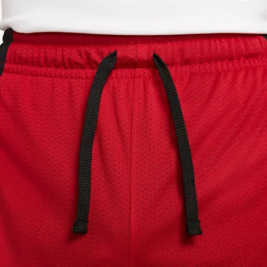Шорти Nike Air Jordan Dri-FIT Sport Mesh DH9077-687