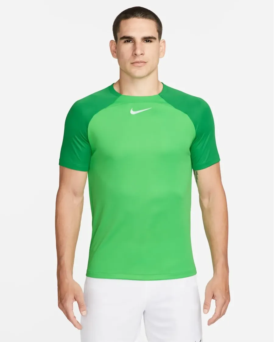 Футболка Nike Dri-FIT Academy Pro DH9225-329
