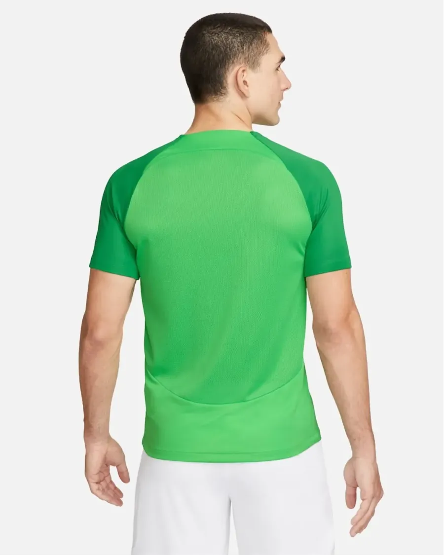 Футболка Nike Dri-FIT Academy Pro DH9225-329
