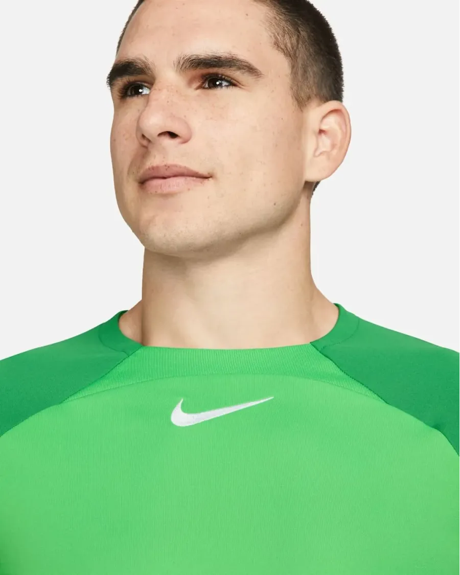 Футболка Nike Dri-FIT Academy Pro DH9225-329