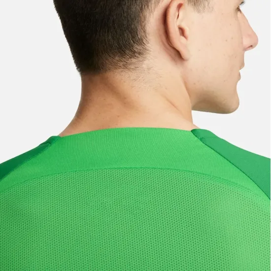 Футболка Nike Dri-FIT Academy Pro DH9225-329