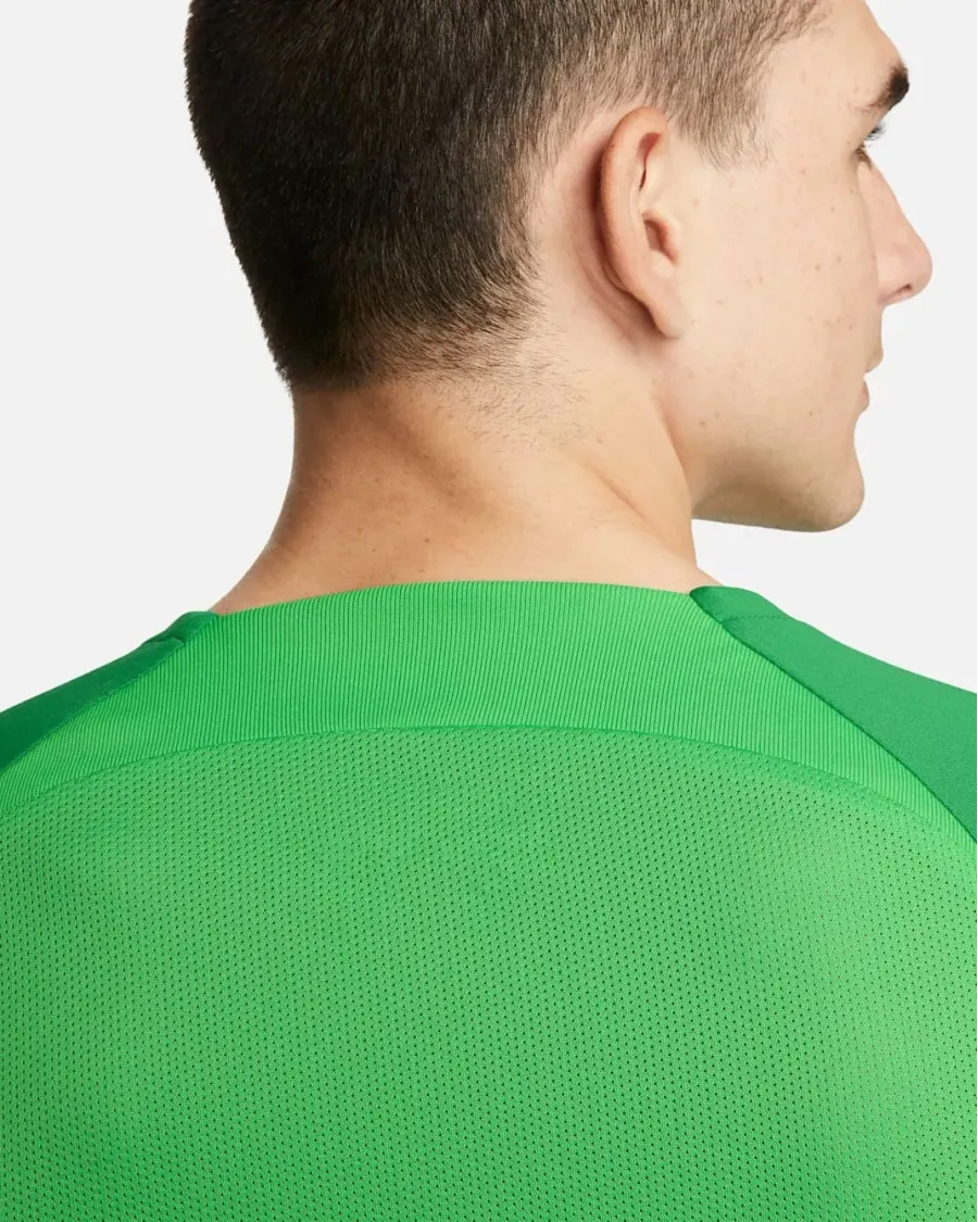 Футболка Nike Dri-FIT Academy Pro DH9225-329