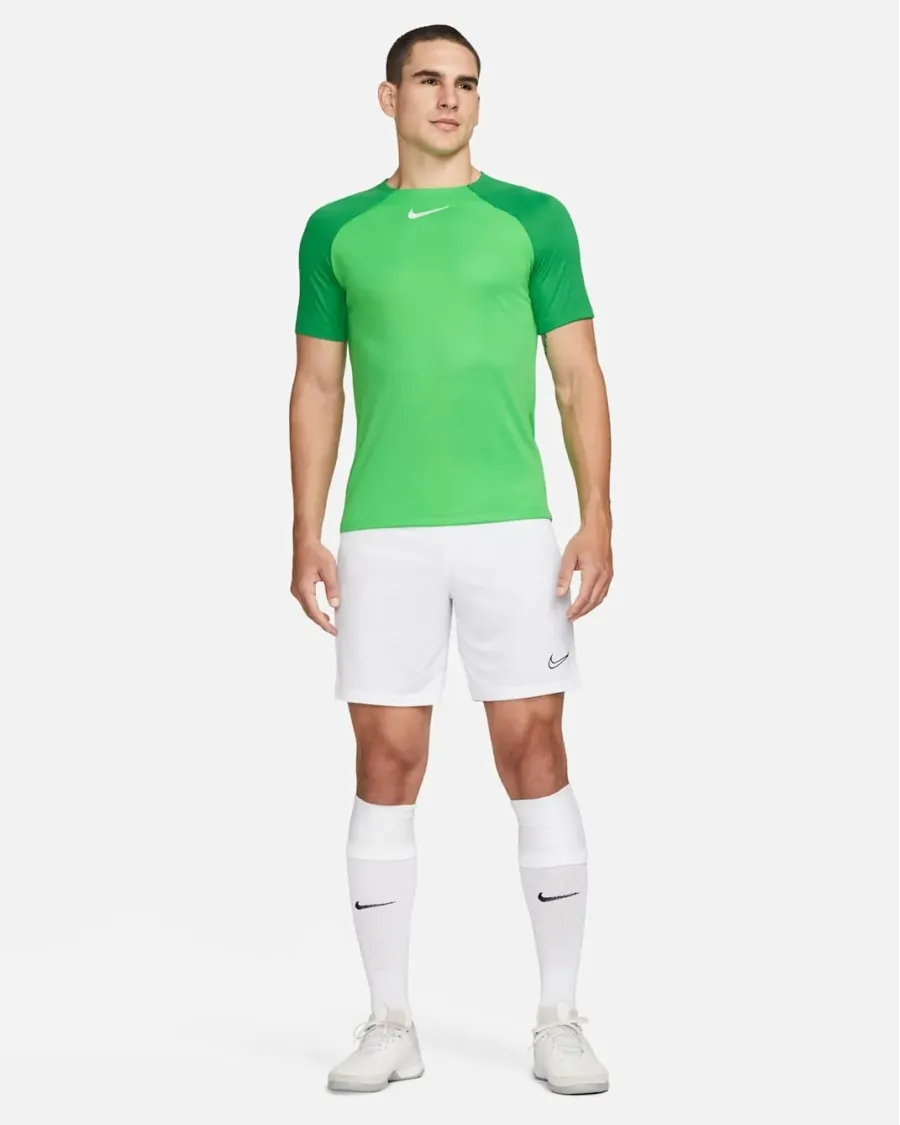 Футболка Nike Dri-FIT Academy Pro DH9225-329