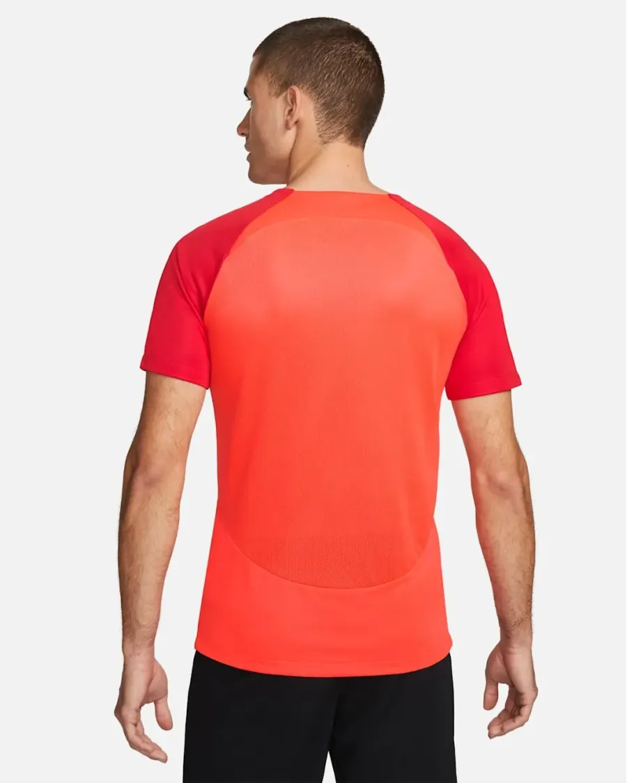 Футболка Nike Dri-FIT Academy Pro DH9225-635
