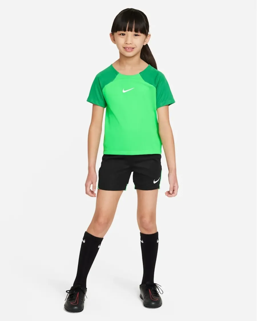 Спортивний костюм Nike Academy Pro Training Kit DH9484-329