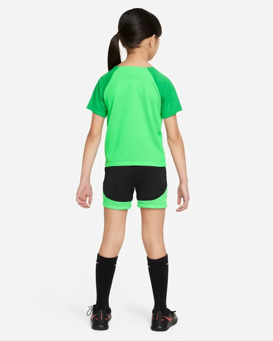 Спортивний костюм Nike Academy Pro Training Kit DH9484-329