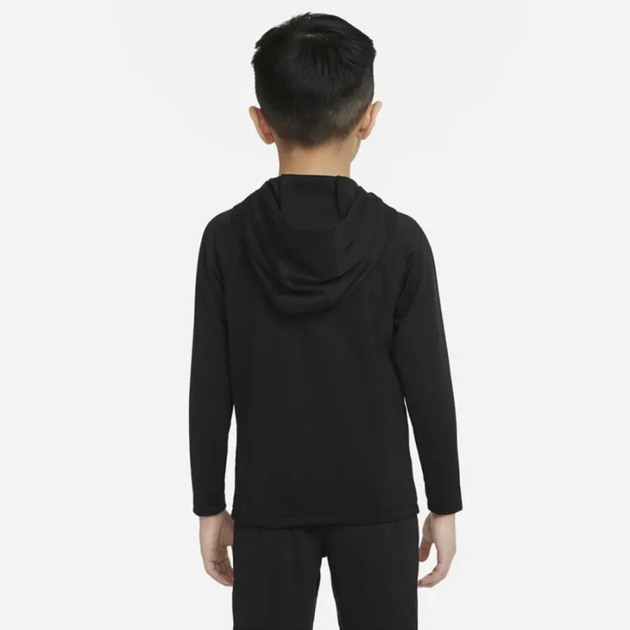 Худі Nike Dri-FIT Academy Pro DH9485-011