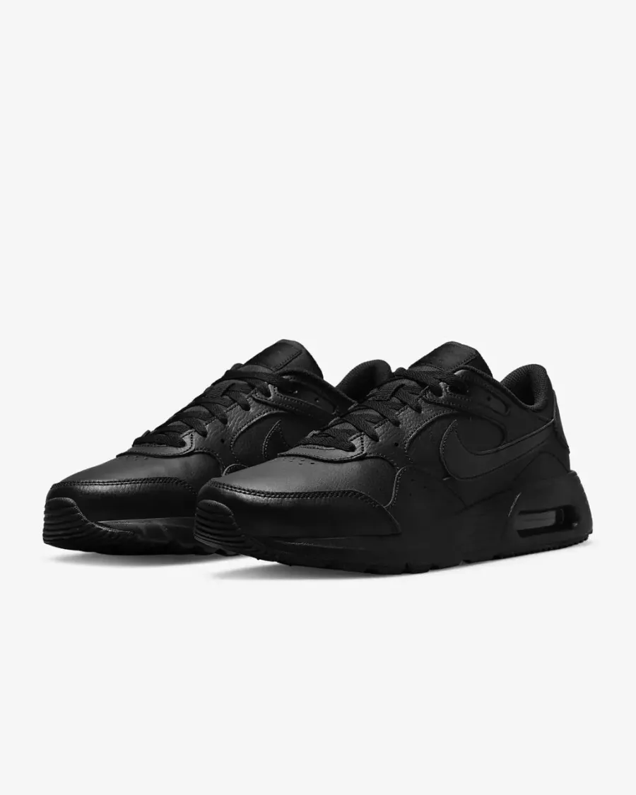 Кросівки Nike Air Max SC Leather DH9636-001