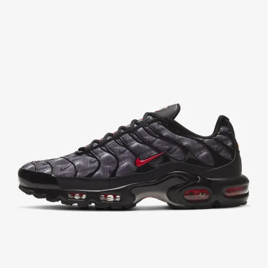 Кросівки Nike Air Max Plus Topography DJ0638-001