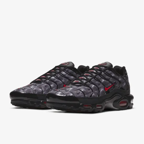 Кросівки Nike Air Max Plus Topography DJ0638-001