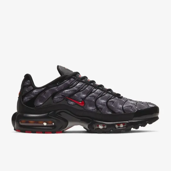 Кросівки Nike Air Max Plus Topography DJ0638-001