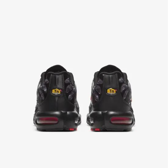 Кросівки Nike Air Max Plus Topography DJ0638-001