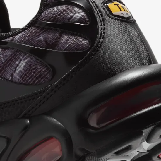 Кросівки Nike Air Max Plus Topography DJ0638-001