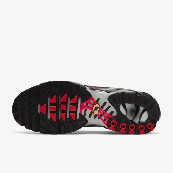 Кросівки Nike Air Max Plus Topography DJ0638-001