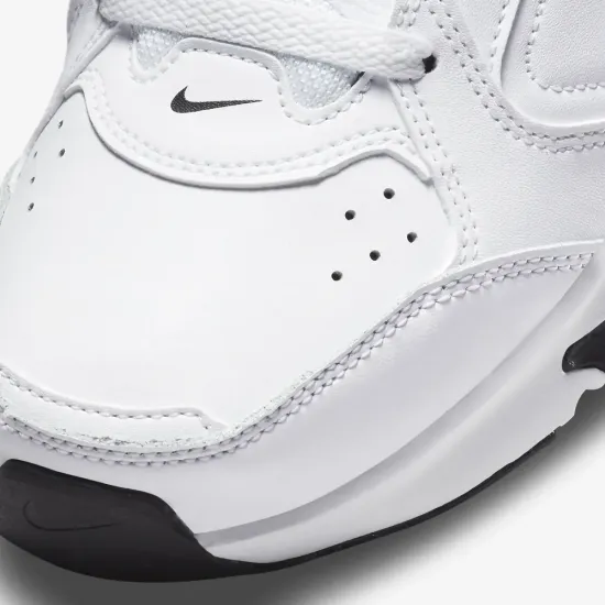 Кросівки Nike Defy All Day DJ1196-101