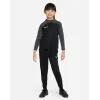 Костюм Nike Dri-FIT Academy Pro Tracksuit DJ3363-013