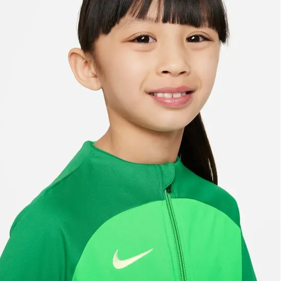Костюм Nike Dri-FIT Academy Pro Tracksuit DJ3363-329