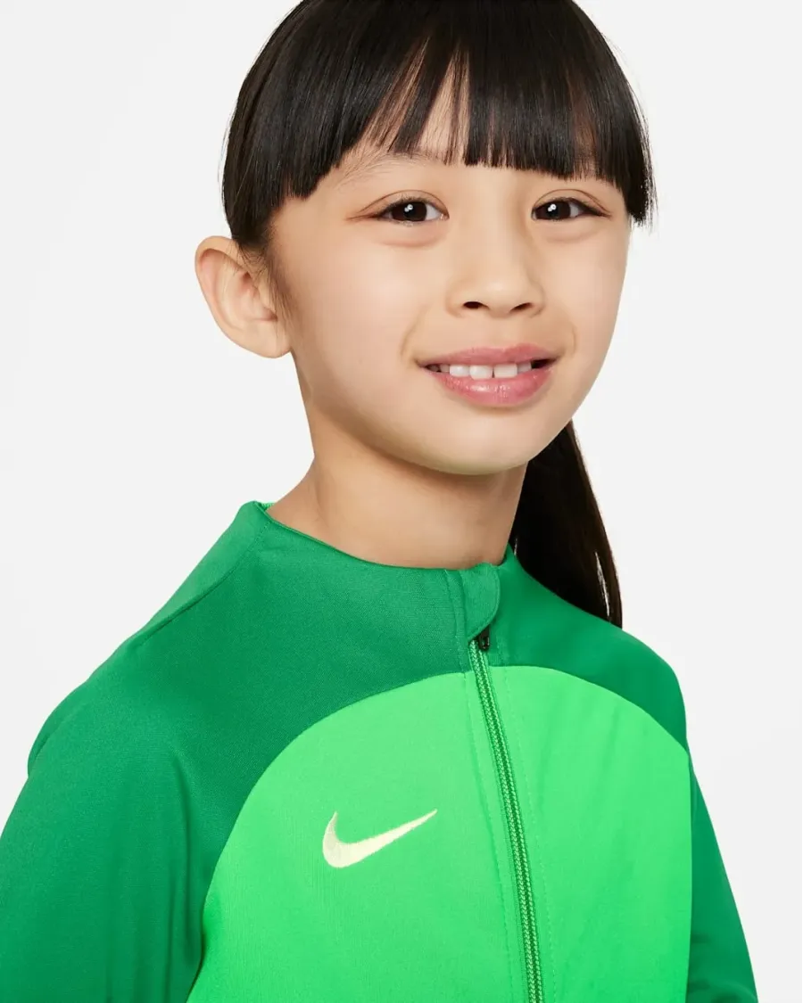 Костюм Nike Dri-FIT Academy Pro Tracksuit DJ3363-329