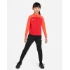 Костюм Nike Dri-FIT Academy Pro Tracksuit DJ3363-657