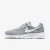 Кросівки Nike Tanjun DJ6257-003