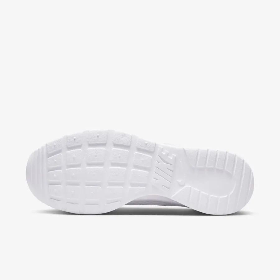 Кросівки Nike Tanjun DJ6257-104