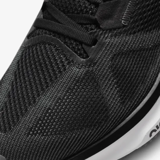 Кросівки Nike Air Zoom Structure 25 DJ7883-002