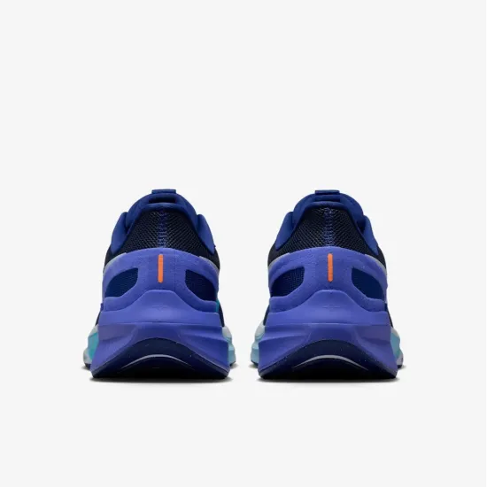 Кросівки Nike Air Zoom Structure 25 DJ7883-017