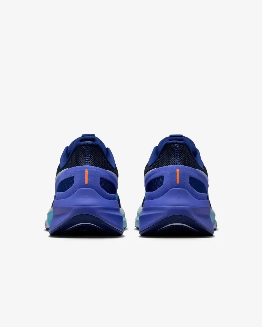 Кросівки Nike Air Zoom Structure 25 DJ7883-017