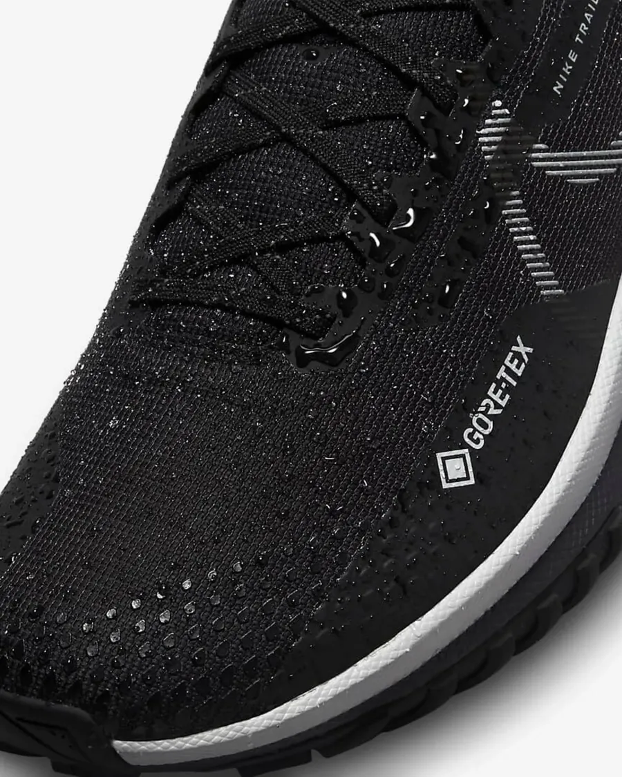 Кросівки Nike React Pegasus Trail 4 Gore-Tex DJ7926-001