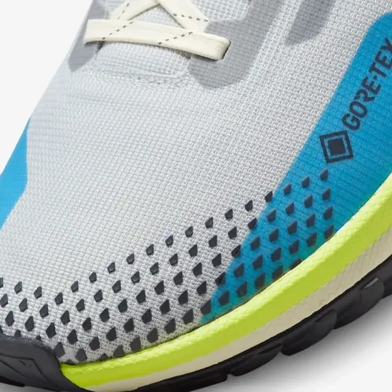 Кросівки Nike React Pegasus Trail 4 Gore-Tex DJ7926-002