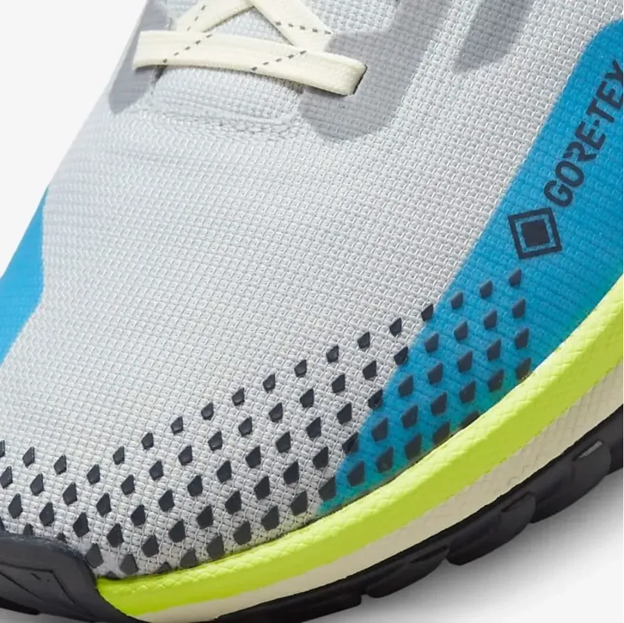 Кросівки Nike React Pegasus Trail 4 Gore-Tex DJ7926-002
