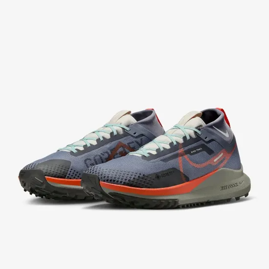 Кросівки Nike React Pegasus Trail 4 Gore-Tex DJ7926-006