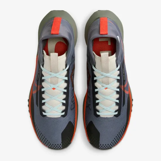 Кросівки Nike React Pegasus Trail 4 Gore-Tex DJ7926-006