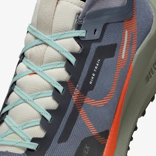 Кросівки Nike React Pegasus Trail 4 Gore-Tex DJ7926-006