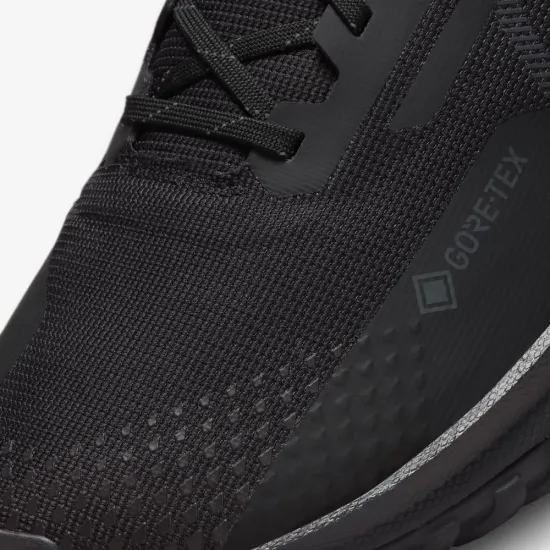 Кросівки Nike React Pegasus Trail 4 Gore-Tex DJ7926-008