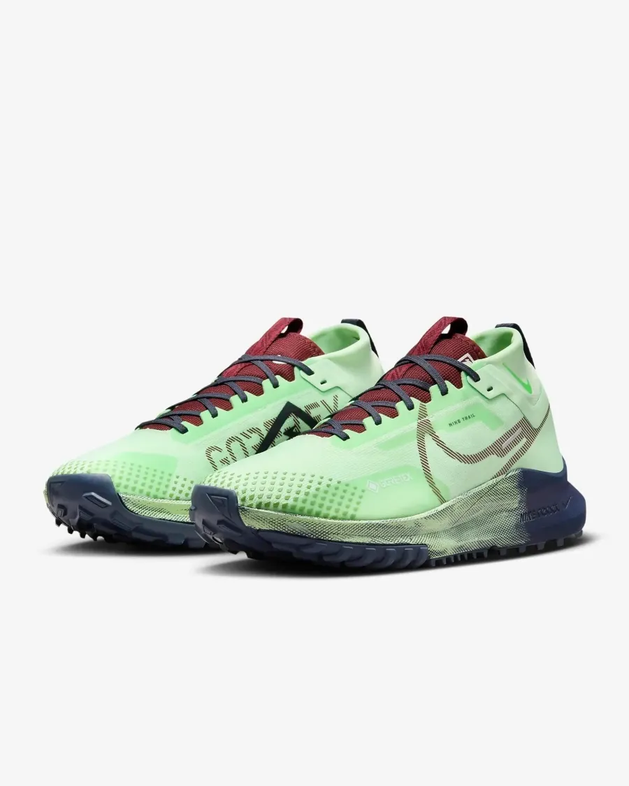 Кросівки Nike React Pegasus Trail 4 Gore-Tex DJ7926-303