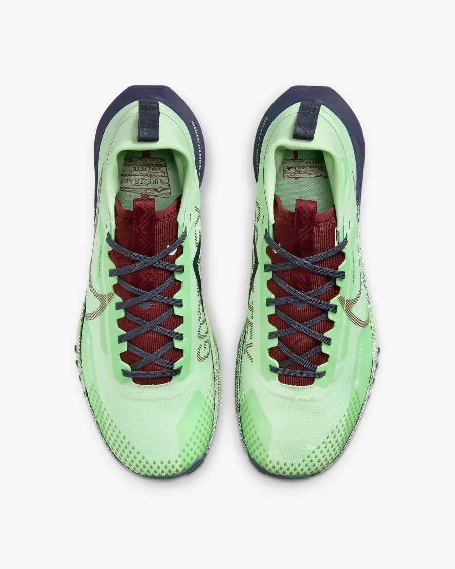 Кросівки Nike React Pegasus Trail 4 Gore-Tex DJ7926-303