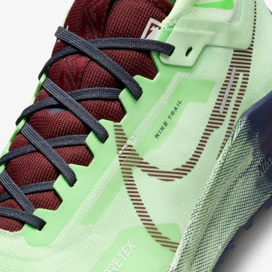 Кросівки Nike React Pegasus Trail 4 Gore-Tex DJ7926-303